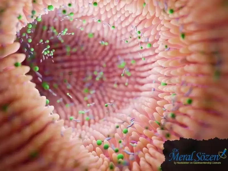 mikrobiyota
