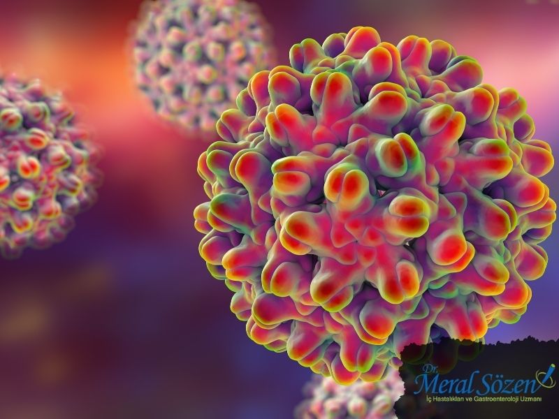 hepatit-b-tasiyicilari