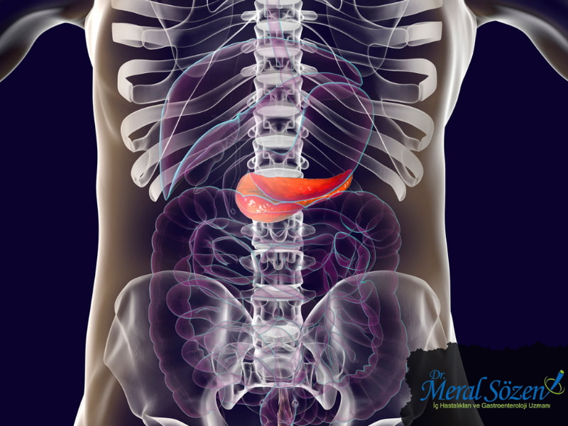 kronik-pankreatit-nedir
