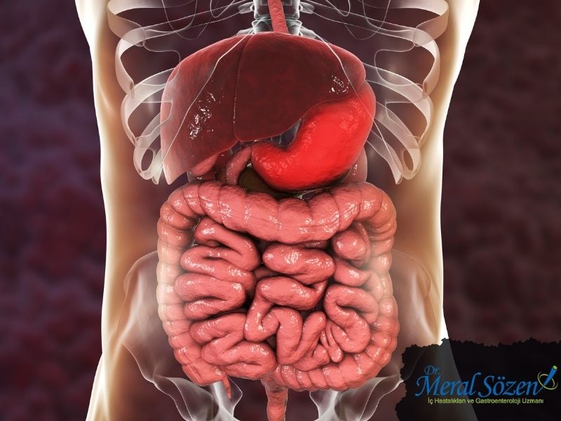 on-iki-parmak-bagirsagi-ulserin-tanisi