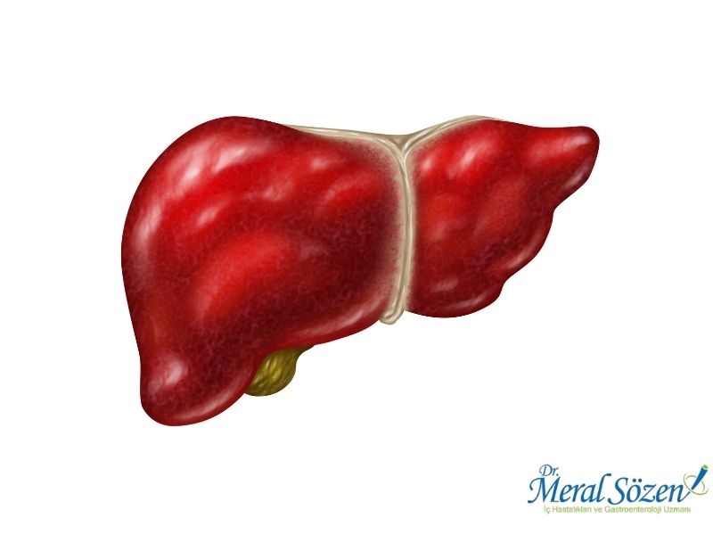 otoimmun-karaciger-hastaliklari