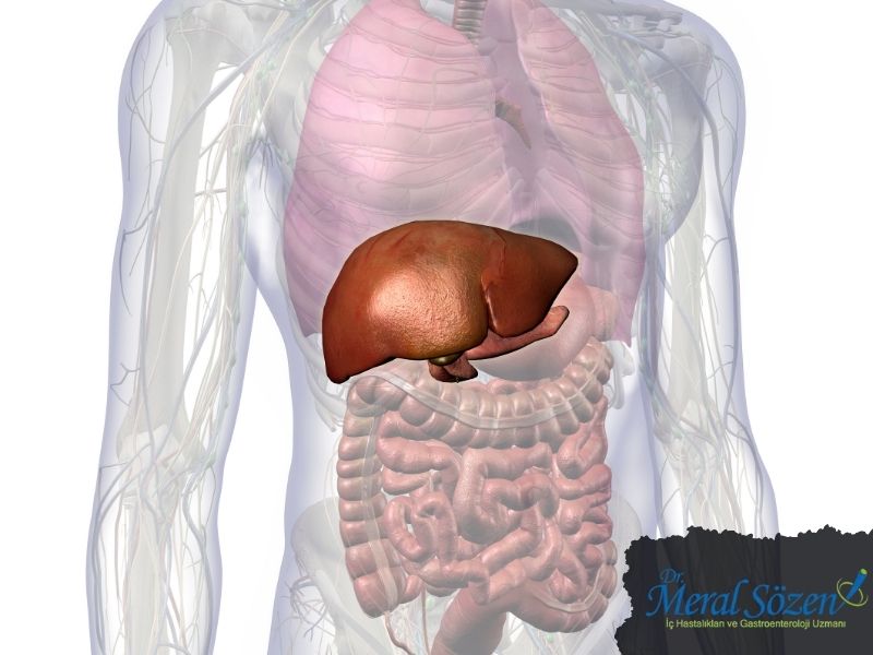 safra-kanali-iltihabi