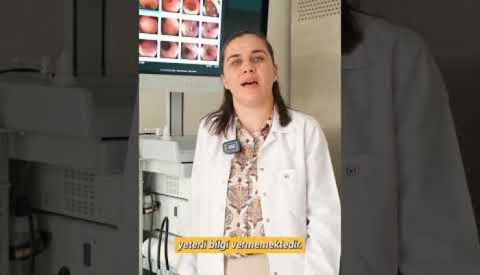 video,paylaşım,kameralı telefon,videofon,ücretsiz,yükleme