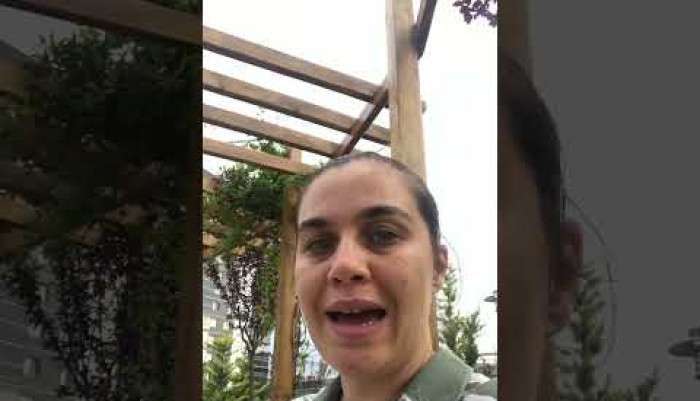 video,paylaşım,kameralı telefon,videofon,ücretsiz,yükleme