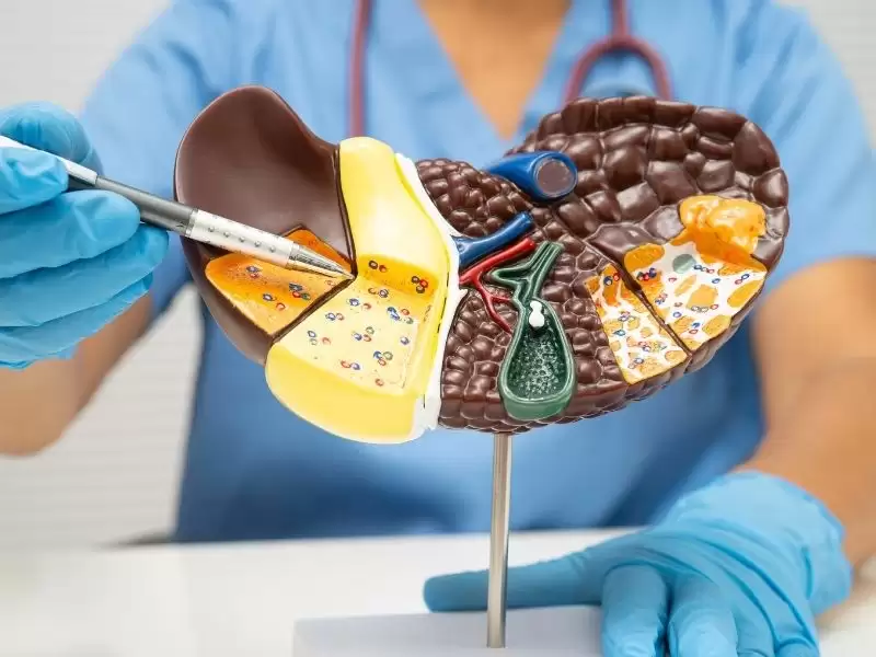 karaciger-hastaliklari-cesitleri